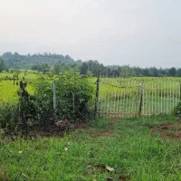 زمین مسکونی 700 متری شفت