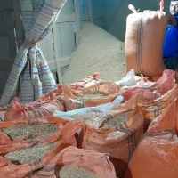 فروش پوست جو فل