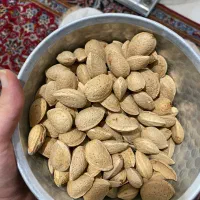 بادام تلخ و شیرین پوست کاغذی|خوردنی و آشامیدنی|شیراز, انجیر|دیوار
