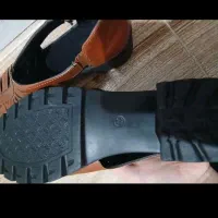 کفش زنانه و دخترانه|کیف، کفش، کمربند|اقبالیه, |دیوار