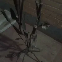 چراغ خواب -آباژور|چراغ خواب و آباژور|سمنان, |دیوار