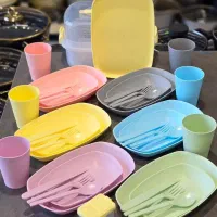 ست ظروف پیک نیک لیمون پاستیلی(گالری شیوا)