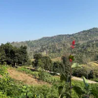 زمین مسکونی|فروش زمین و ملک کلنگی|املش, |دیوار