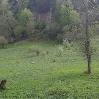 زمین ییلاقی ۴۲۰۰متر رضوانشهر|فروش زمین و ملک کلنگی|رضوانشهر, |دیوار