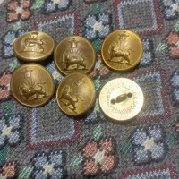 8عدد دکمه سواره نظام قدیمی