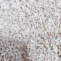 دان پرندگان گندم ارزن تخمه شاهدانه ذرت کتان جو