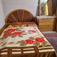 فروش سرویس خواب|تخت و سرویس خواب|شیراز, باغ تخت|دیوار