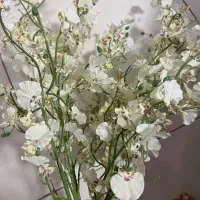 گل مصنوعی۶ شاخه|گل مصنوعی|رشت, حمیدیان|دیوار