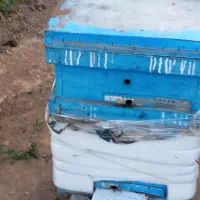کندوی زنبور. فروشی به همراه زنبور