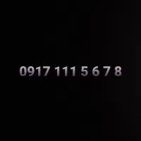 0917-111-0024|سیم‌کارت|شیراز, فرهنگ شهر|دیوار