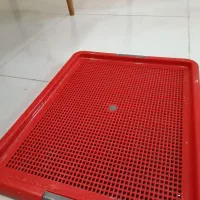 سینی ادرار سگ