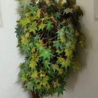 شش تا کناره|گل مصنوعی|زاهدان, |دیوار