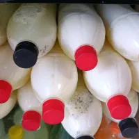 ماست چکیده و دوغ محلی