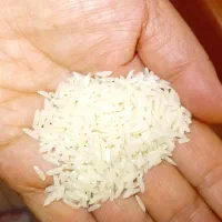۲۰کیلو برنج طارم