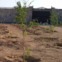 باغ چهار دیواری امکانات تکمیل