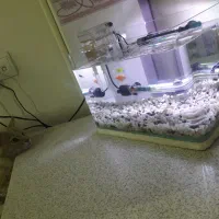 آکواریوم شیشه خم