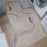 گلیم فرش|گلیم، جاجیم، گبه|قم, ناصردیوان|دیوار