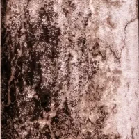 موکت کویر یزد