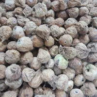 انجیراستهبان درشیرازبه شرط|خوردنی و آشامیدنی|شیراز, ماه فیروزان|دیوار