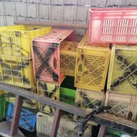 جعبهای مرغ یخچالی|ظروف نگهدارنده، پلاستیکی، یک‌بارمصرف|فریدون‌کنار, |دیوار