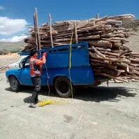 خرید و فروش چوب با بهترین قیمت|خدمات باغبانی و درختکاری|سنقر, |دیوار