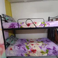 تخت خواب دو طبقه|تخت و سرویس خواب|کرج, حصارک بالا|دیوار