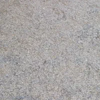 تفاله تر چغندر