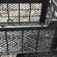 سبد ۱۴ کیلو درجه یک میوه|ظروف نگهدارنده، پلاستیکی، یکبارمصرف|بندرعباس, |دیوار