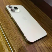 13pro