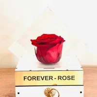 کادو گل جاودان