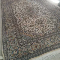 فرش ۱۲متری دستباف|فرش|مشکین‌دشت, |دیوار