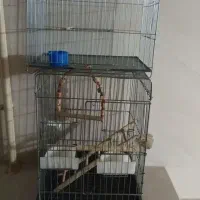 قفس پرنده