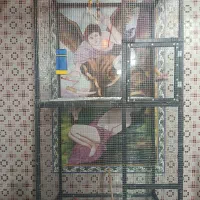 قفس پرنده بزرگ