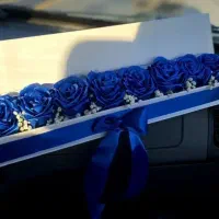 هدیه روز معلم