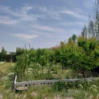 باغچه ۶۰۰متری فیروز بهرام|فروش زمین و ملک کلنگی|تهران, شهرک طالقانی|دیوار