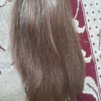گیس مو گیره دار