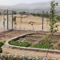 زمین باغی با نونهال ولوله کشی آب تاسرزمین،آستانه|فروش زمین و ملک کلنگی|اراک, |دیوار