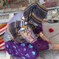 قالیچه دستبافت|فرش|کازرون, |دیوار