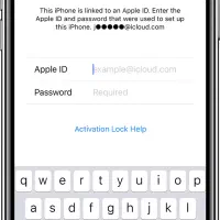 عکسو نگاه کن