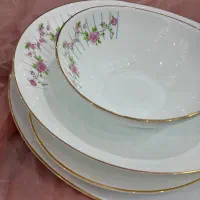 سرویس غذا خوری آرکوپال|ظروف سرو و پذیرایی|درگزین, |دیوار