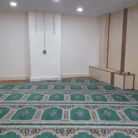 فرش سجاده ای مساجد زمرد درجه ۱|فرش|اهواز, نادری|دیوار