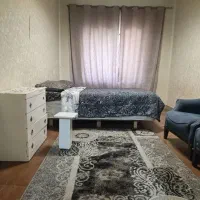 اجاره هفتگی و روزانه تک خواب و سوییت|اجارهٔ کوتاه‌مدت آپارتمان و سوئیت|تهران, زیبادشت|دیوار