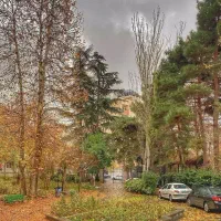 راننده ساینا صفر