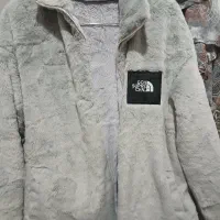 تدی نو سایز۴۰ یا۴۲