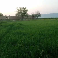 چاه عمیق و زمین کشاورزی