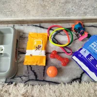 لوازم سگ|لوازم جانبی حیوانات|سهند, |دیوار