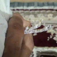 کفتر هفت رنگ کشیده گرفتنی کبوتر|پرنده|کرباسک, |دیوار