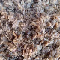 فروش انواع خوراک دام و تفاله