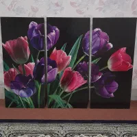تابلو دست ساز|تابلو، نقاشی، عکس|اردبیل, |دیوار