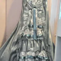 پیراهن مجلسی به همراه شال|لباس|کرج, شیخ آباد|دیوار